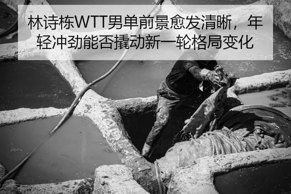 林诗栋WTT男单前景愈发清晰，年轻冲劲能否撬动新一轮格局变化